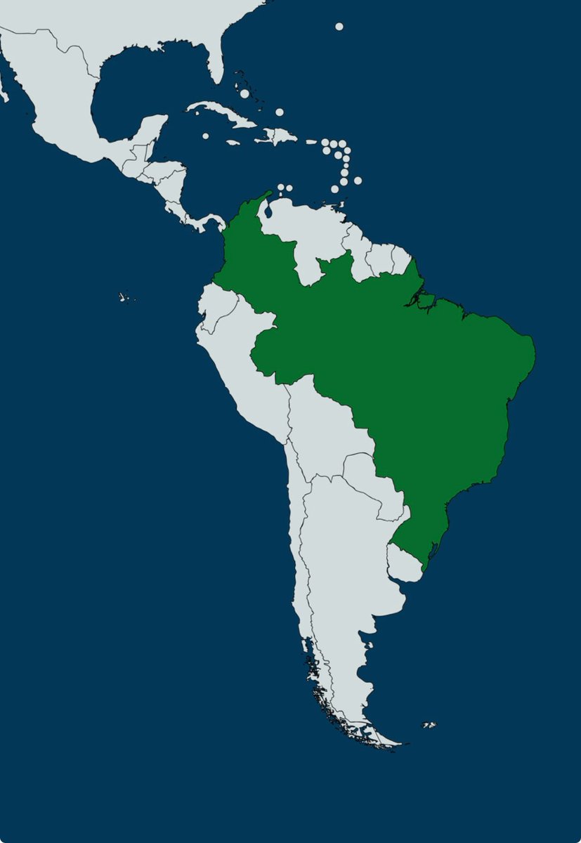 T A Y 🇧🇷 tweet media