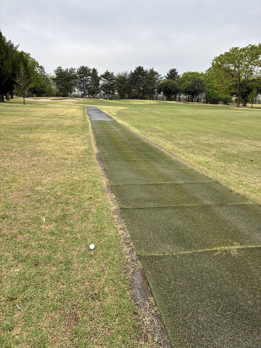 がき@WITBアプリ⛳️ギアマネ tweet media