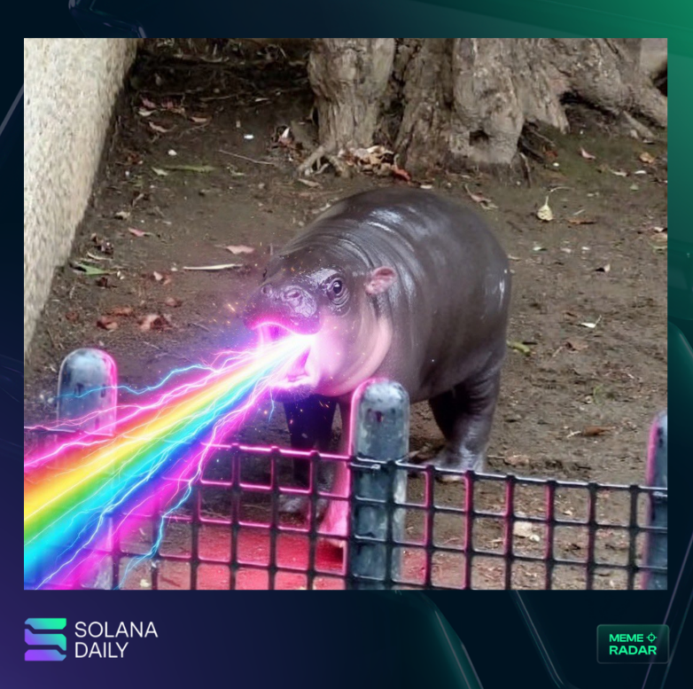 solana_daily's tweet image. $IROHA - $1.2M MCap

CA: 9SeCSdbPzz95KomGUGEV9Shn2zGXNmMJhE9J72Hipump

$IROHA - An adorable baby pygmy hippopotamus born at Ueno Zoo in Tokyo.

#DYOR