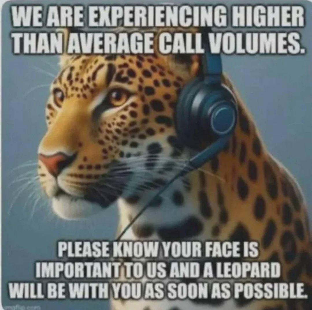shawn_m9789's tweet photo. @factpostnews You got what you voted for #LeopardAteYourFace https://t.co/MEEgkDJXNe