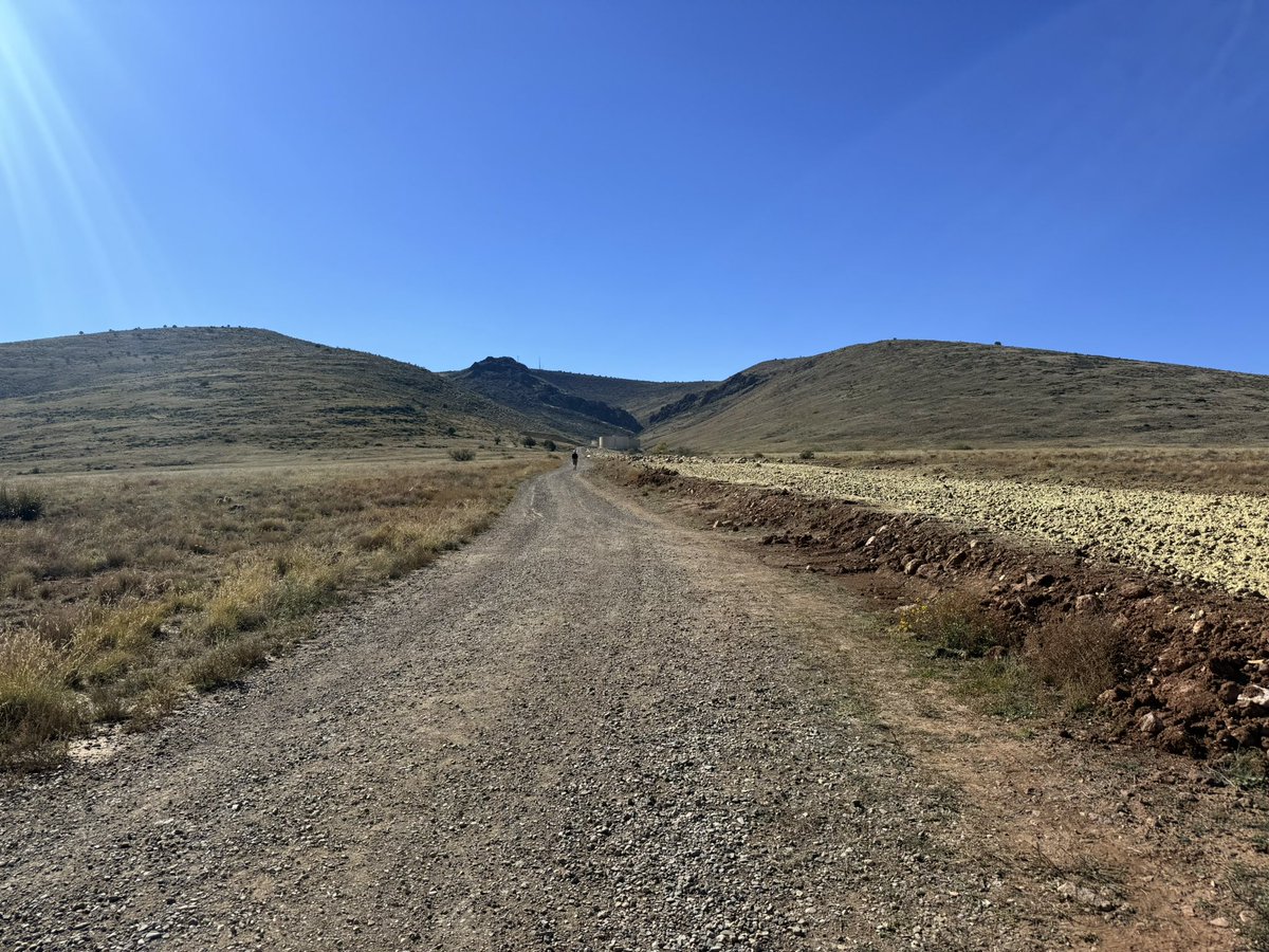 American Youth - BILT tweet media