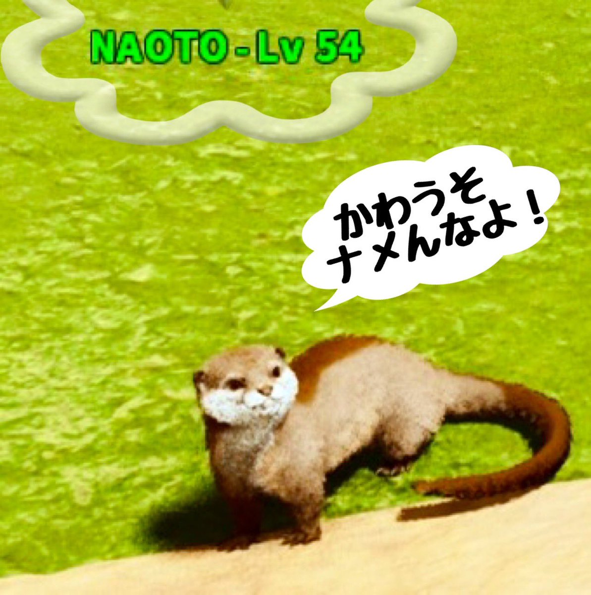 井尻 恵子🌹ELLY LOVE🫰💕 tweet media