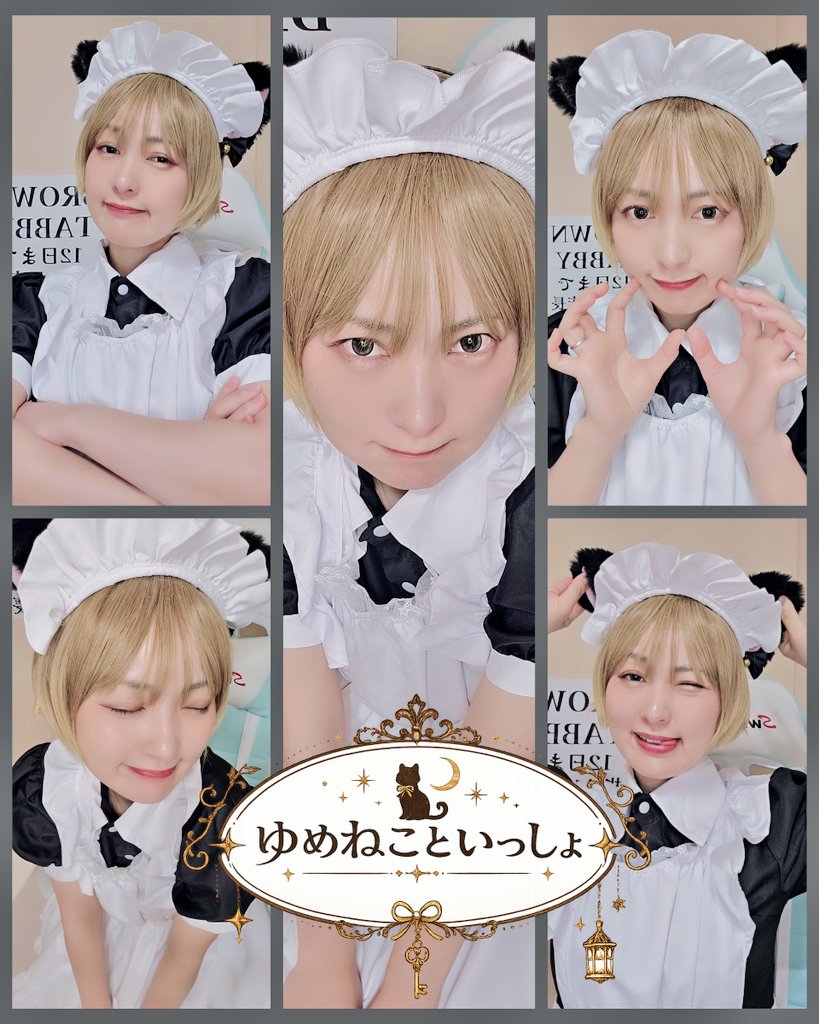 -Yume-🌛🌸1日店長イベント中🔥🐈‍⬛ tweet media