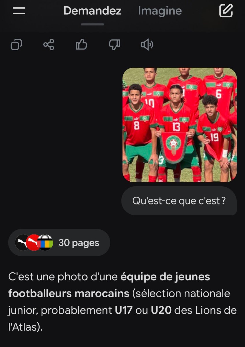 Mindset007🇸🇳🇵🇸🇮🇷🇸🇩 tweet media