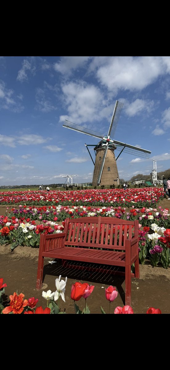 あや(aaa) tweet media