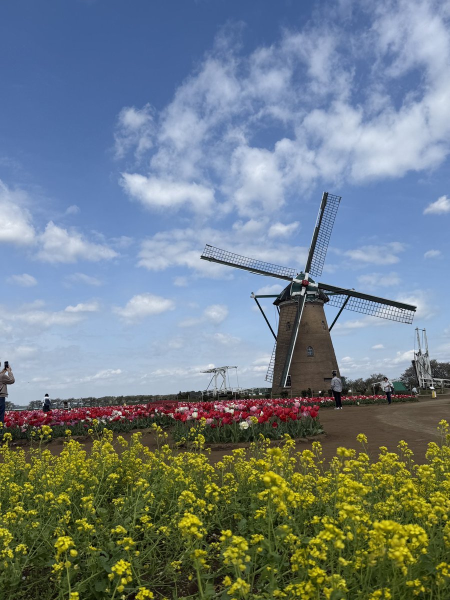 あや(aaa) tweet media