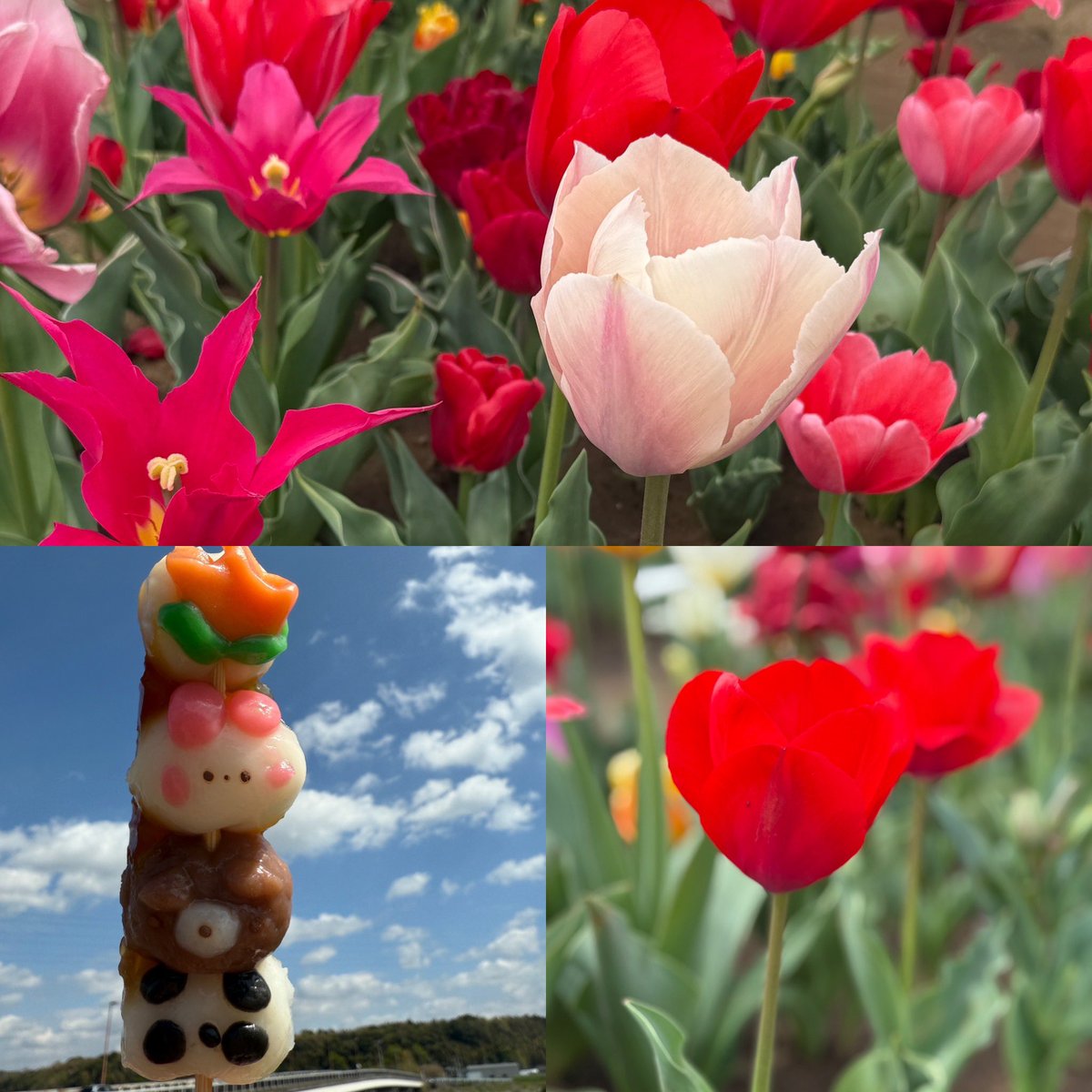 あや(aaa) tweet media