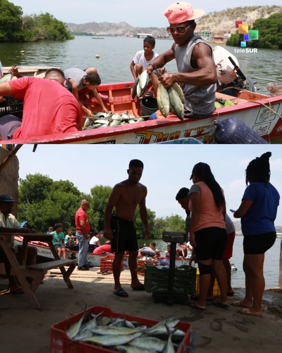 teleSUR TV tweet media