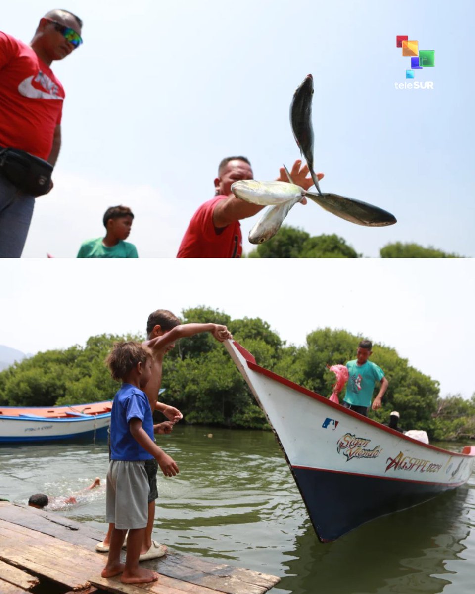 teleSUR TV tweet media