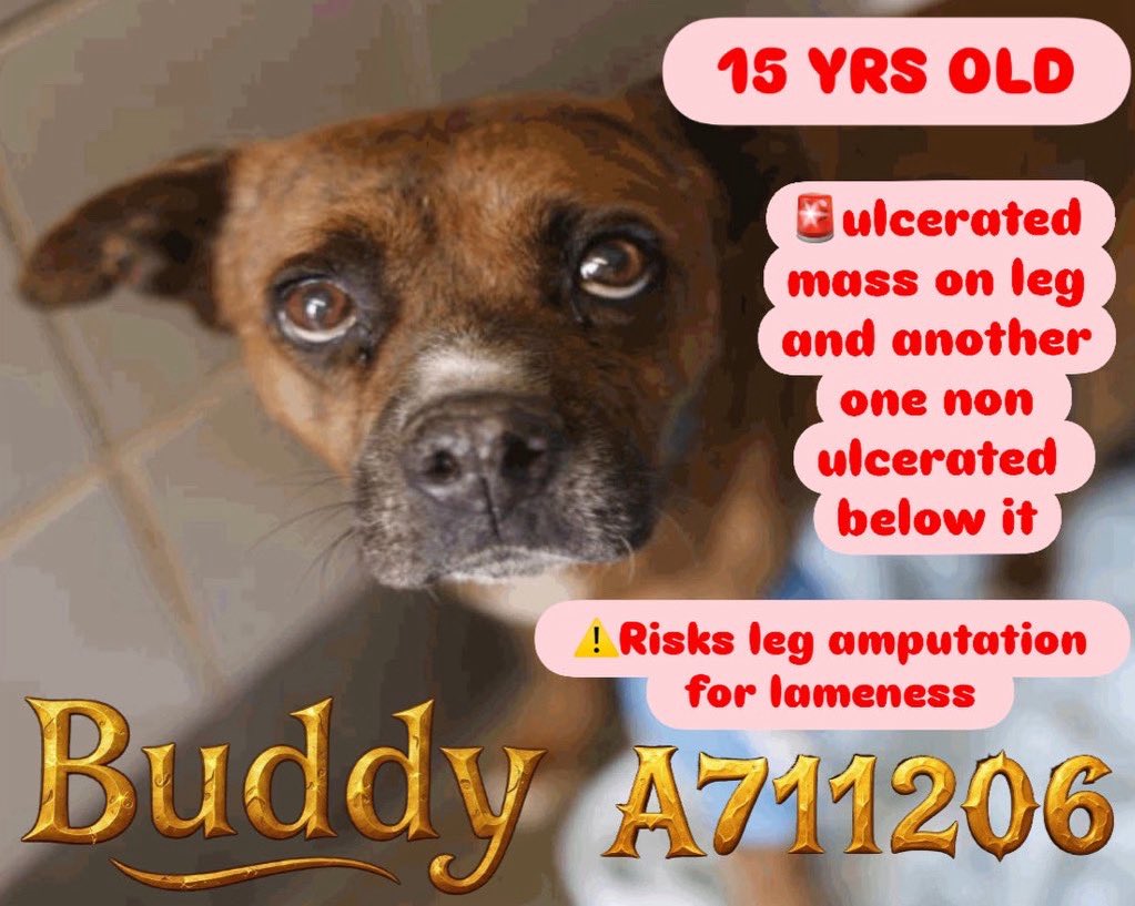 Aurora ⸆⸉ misses Liam ❯❯❯❯ tweet media