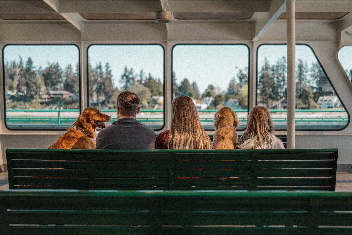 kristopher tweet media