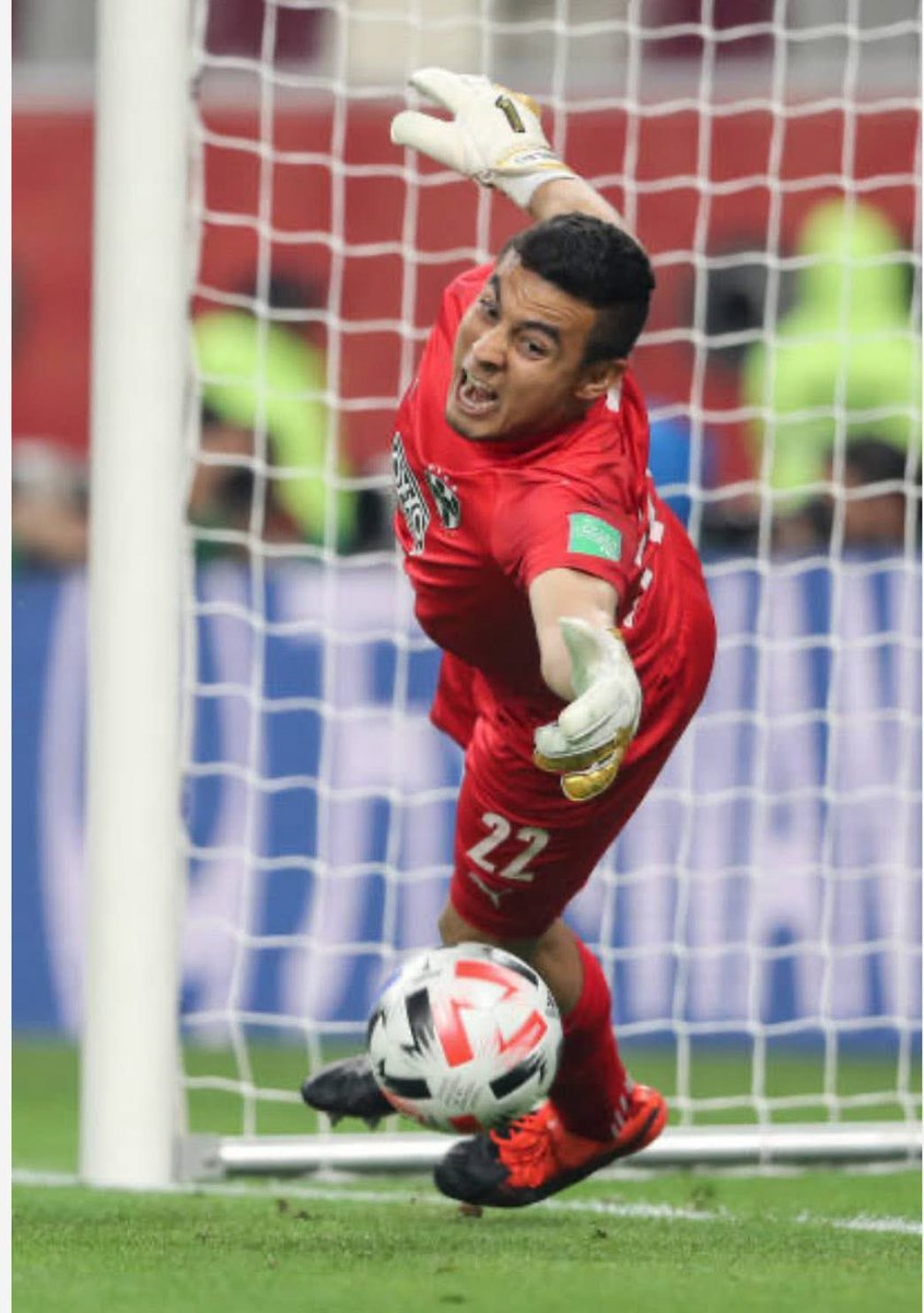 🐻OSO MONTERREY CFM⚽️🏴󠁧󠁢󠁳󠁣󠁴󠁿 tweet media