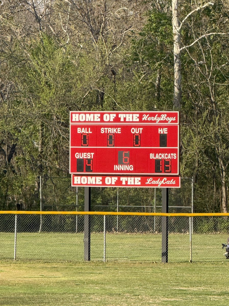 Blackcats Updates tweet media