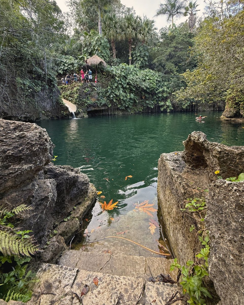 Xenotes's tweet photo. 📍 Places where nature will surprise you: #TourXenotes.  🙌🏻🍃 https://t.co/d4hheQppJj