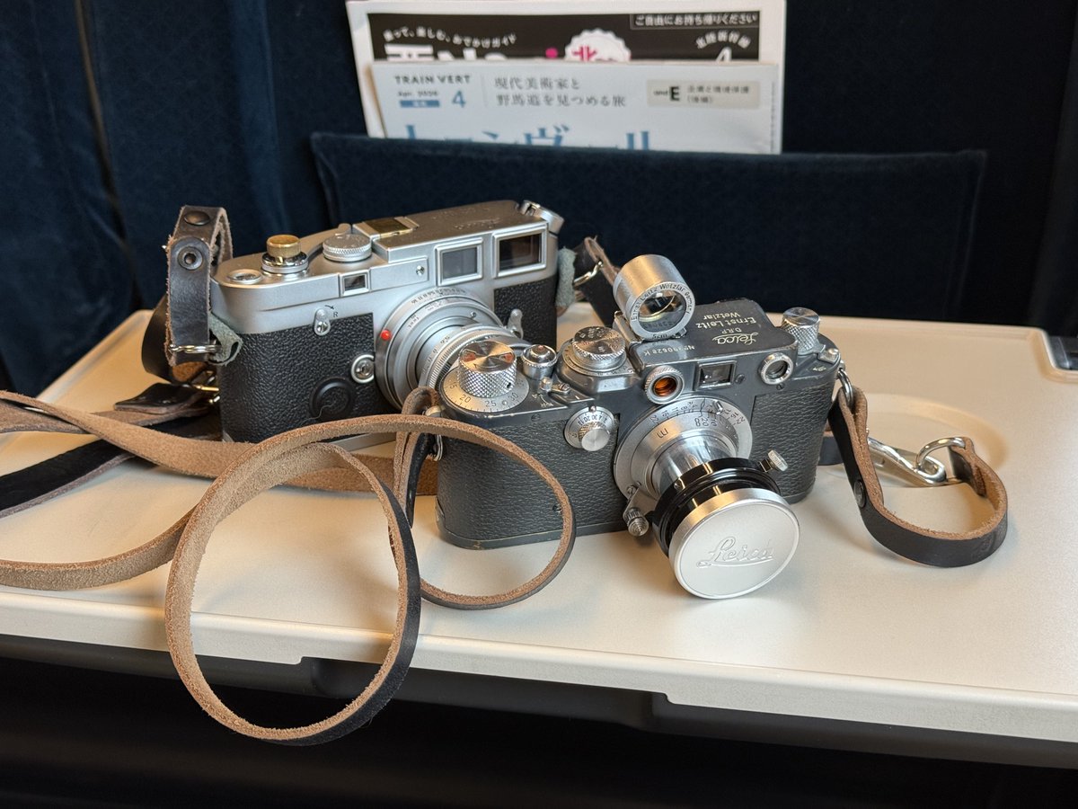 Железная Кошка tweet media