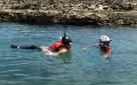 Stars and Stripes Pacific tweet media