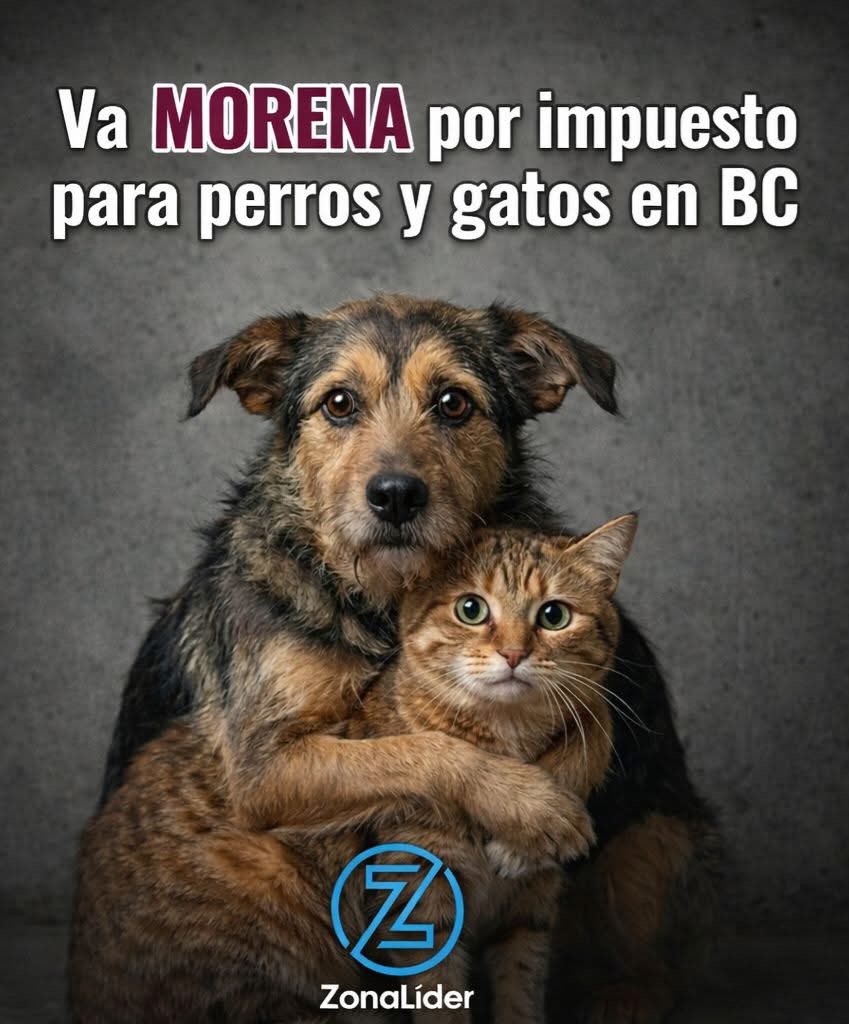 DRA. MERCEDES PAVON "SUPERMUELITA FIFÍ" tweet media