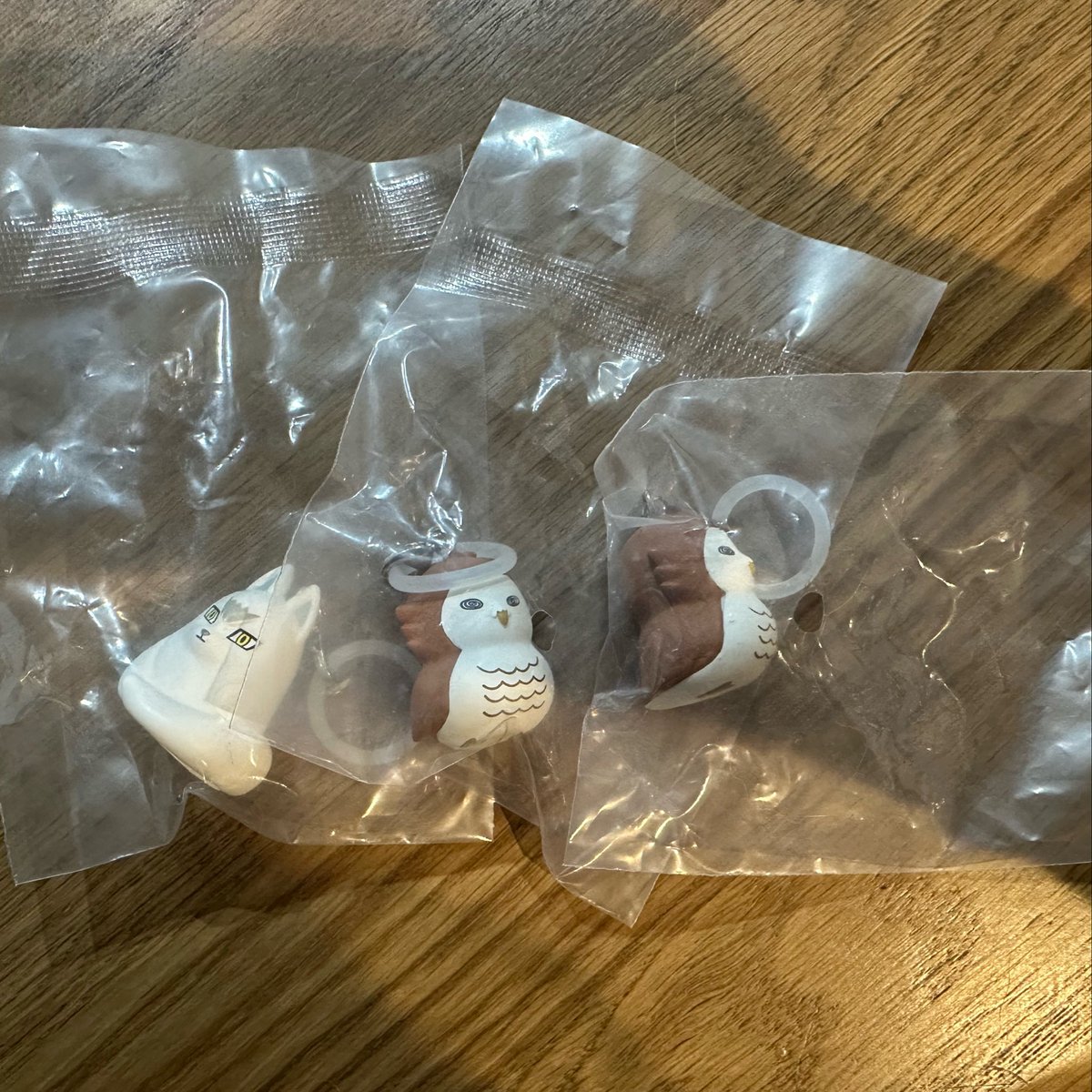 🥦🦖 tweet media