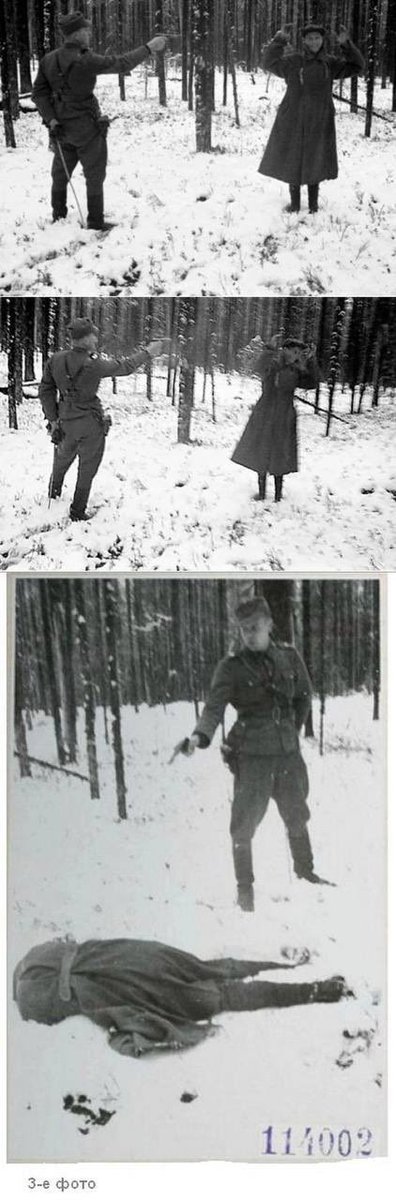 Борис ☦️🇷🇺 tweet media