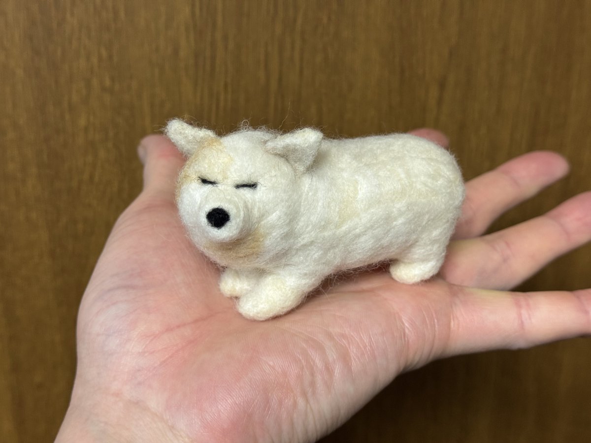 ドン (喪中) tweet media