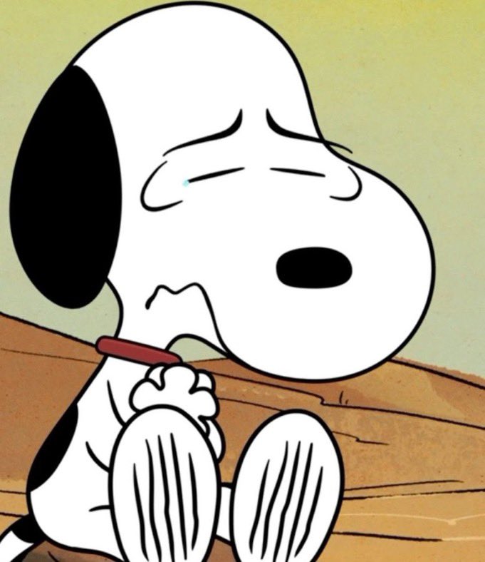 Roy🏝️☀️ tweet media