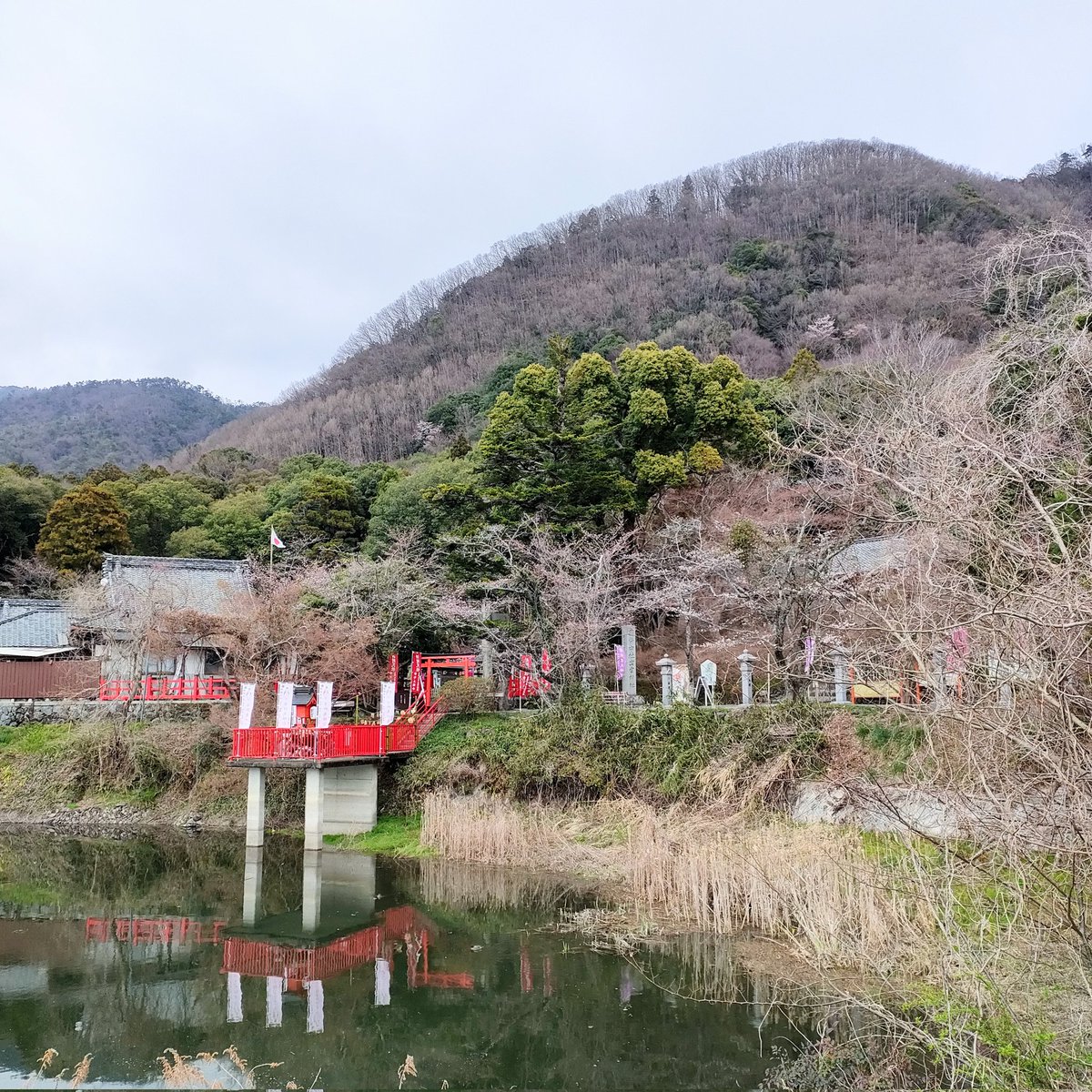 出雲大神宮（京都・亀岡）☘️

神池と辨財天社の風景

京都・亀岡の北部、千歳町にある丹波国の一の宮である出雲大神宮の境内で撮影した風景です。出雲の出雲大社は近年まで杵築大社と呼ばれていたので、出雲としてはこちらが古いので元出雲と呼ばれています。

（撮影）2025/04☘️
