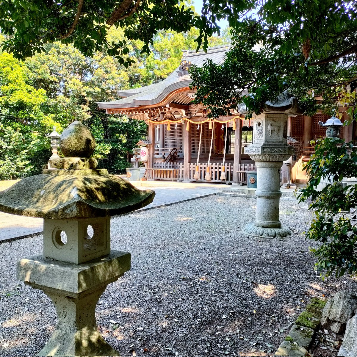 金刀比羅神社（京都・峰山）☘️

拝殿の風景

京都・京丹後の峰山にある金刀比羅神社なんですが、1811年に峰山藩７代藩主・京極高備により創建された『丹後のこんぴらさん』として愛される神社ですよ。そして、境内に狛猫がある神社としても有名です。

（撮影）2025/04☘️