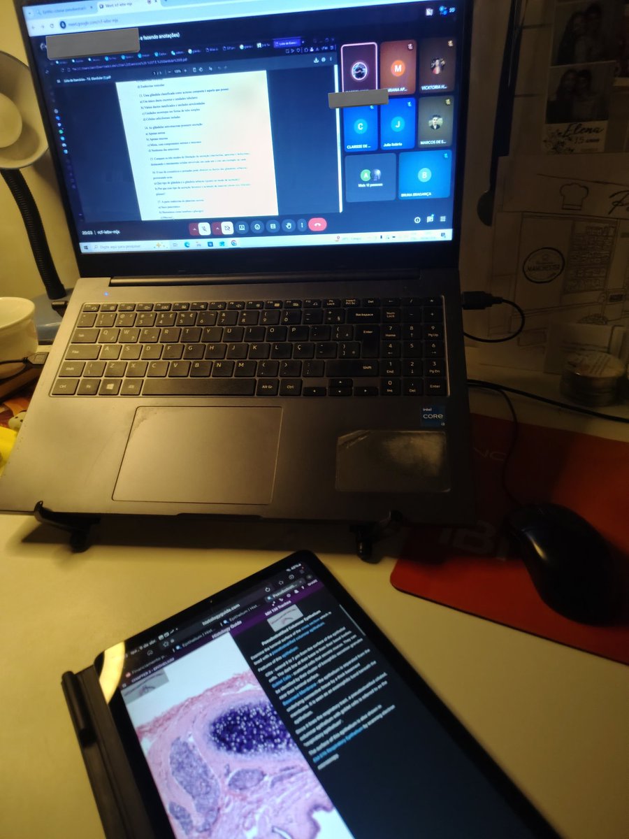 bruna♡ | enf/ufjf #studytwtbr tweet media