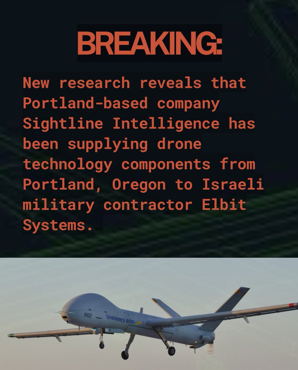 Portland DSA tweet media