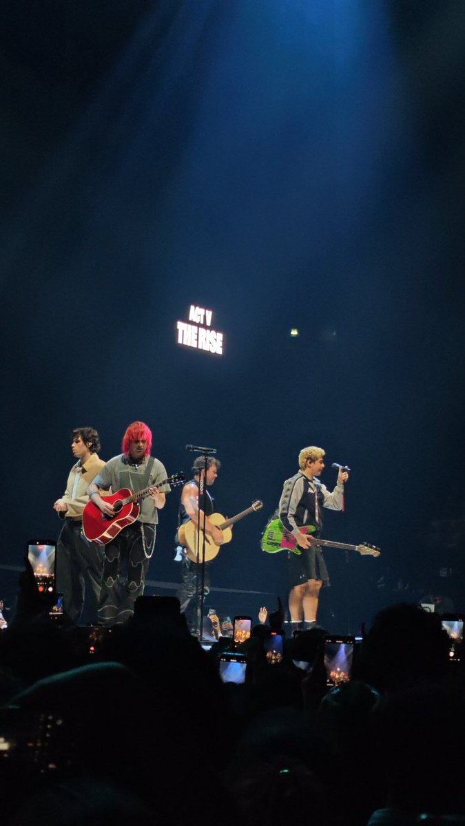 Laura_twl's tweet photo. Sharing some pics from the Paris show !! @5SOS #5SOS https://t.co/eSJZi3qOw5