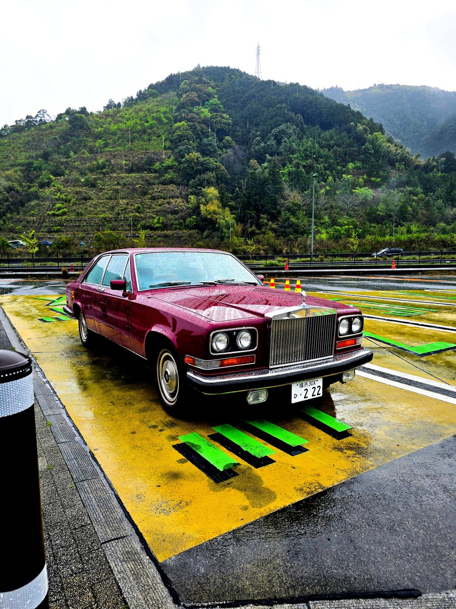 Angelfish tweet media