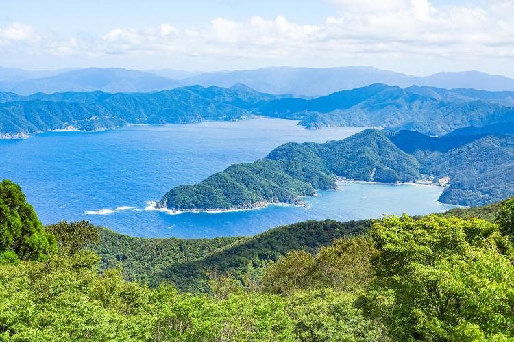 （株）むう企画【公式】 tweet media