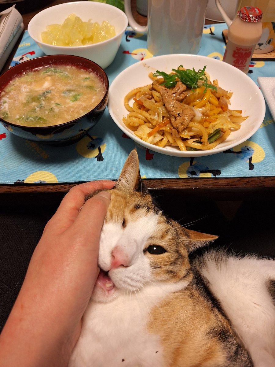 にこちゃまちゃんぬる tweet media