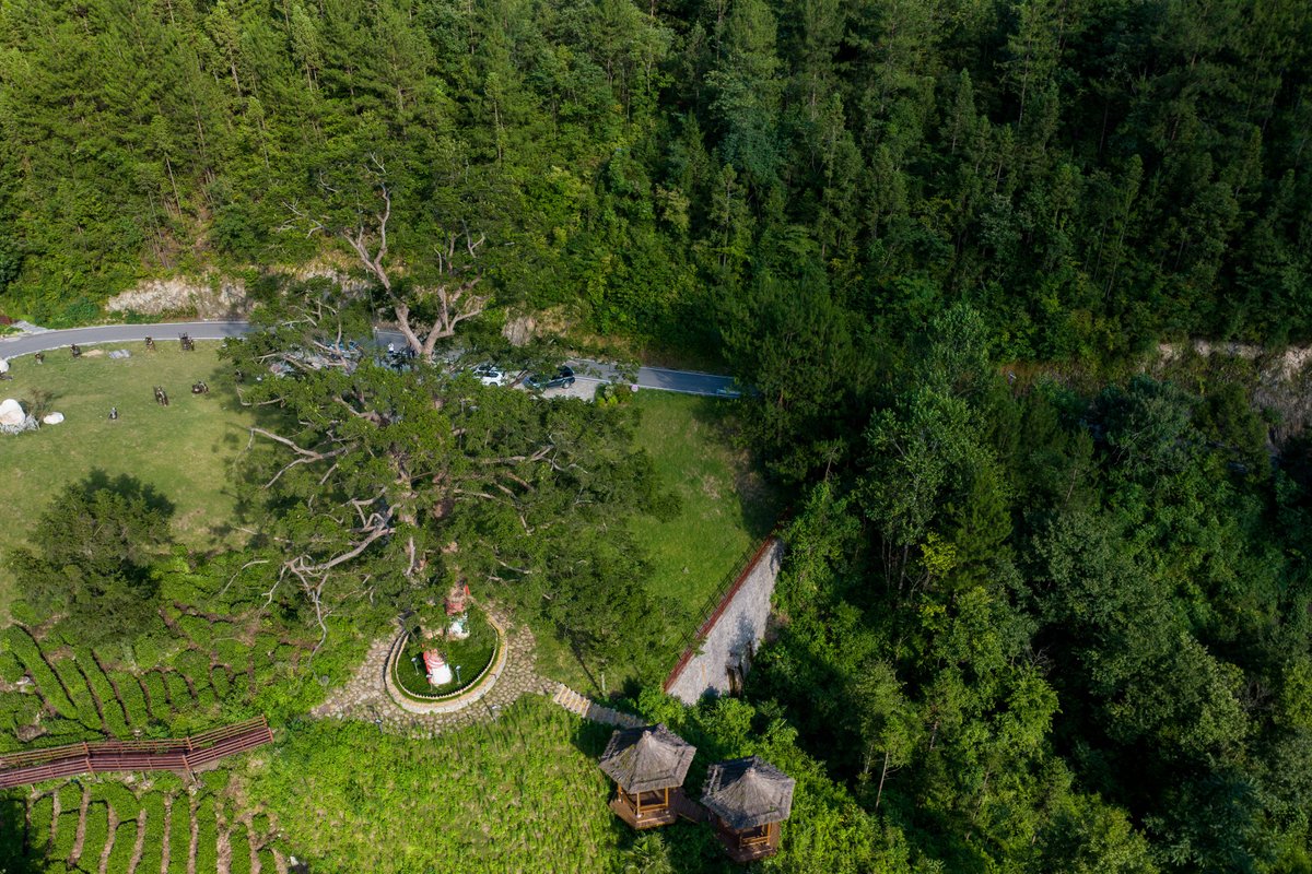 Jung Ah-reum tweet media