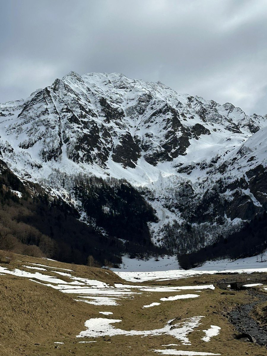 PariZaad tweet media