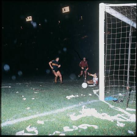 Diego Grassino tweet media