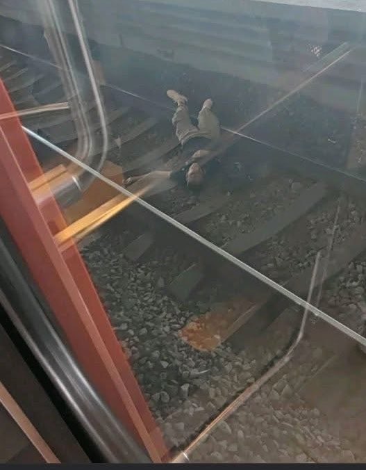 LISET GONZALEZ tweet media