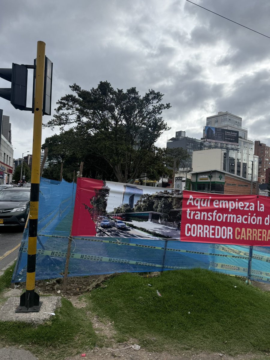 𝑵𝒂𝒕𝒚 ☘️🐍 tweet media