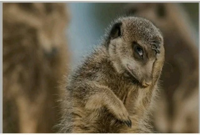 Namelezz tweet media