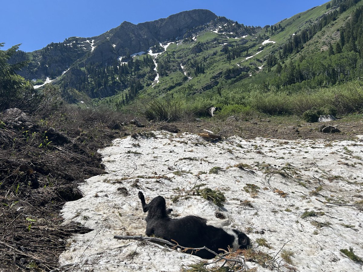 Max Heady tweet media