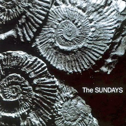 Michael Glasper tweet media