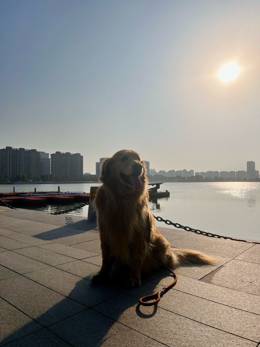 Beauty Supply tweet media