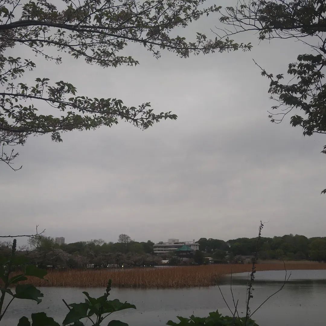 お父さん＠へでな士事務所 tweet media