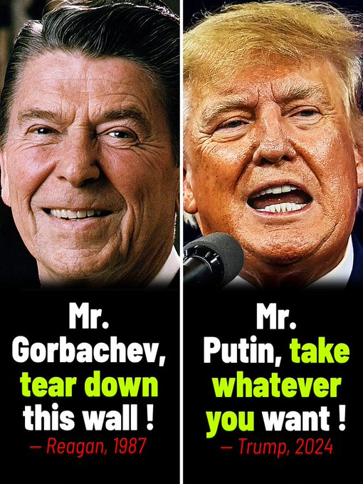 Phoenix Reborn UA 🇺🇸🇪🇺🇺🇦 tweet media