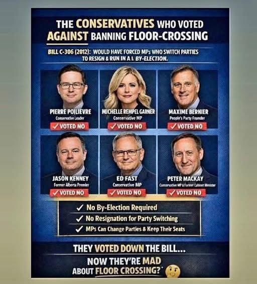 Wrestle D tweet media