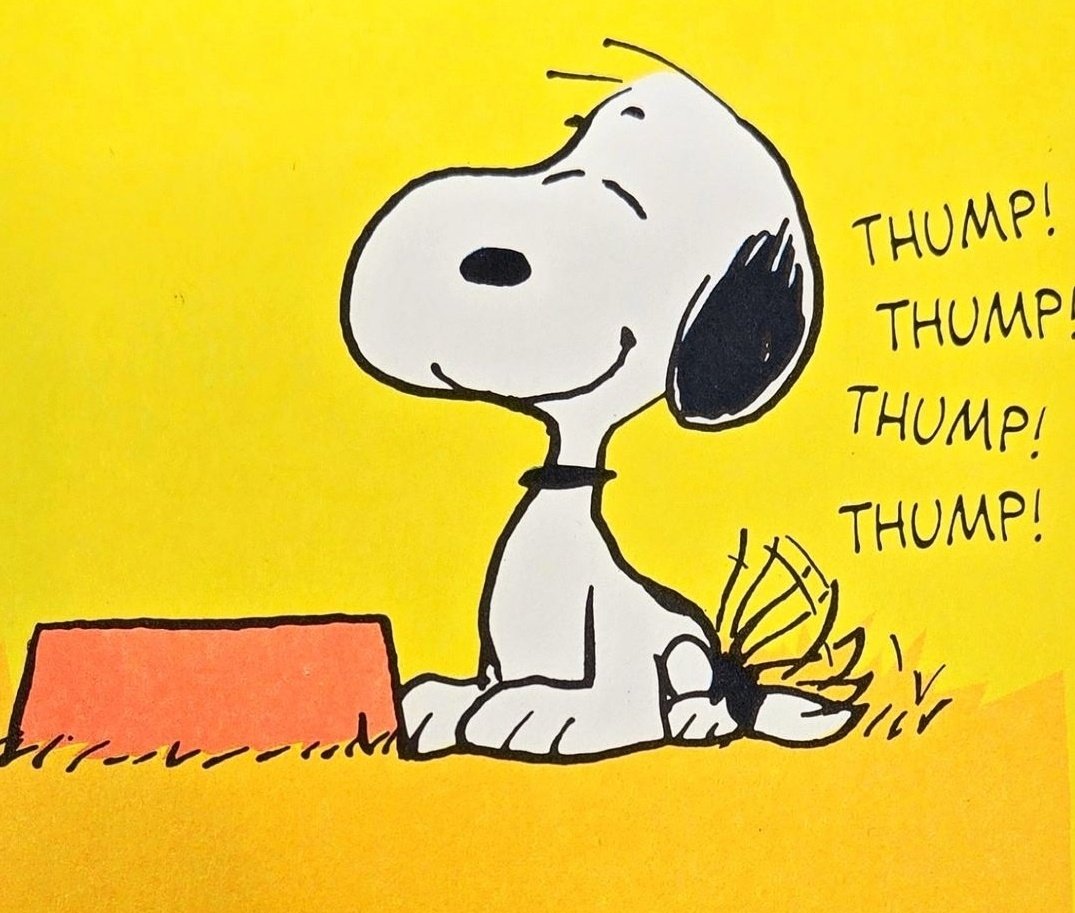 En 8 meses pasé de no saber hacer una cédula a que los clientes vengan y le digan a la Doctora que mientras esté yo a cargo de sus causas, ellos están tranquilos🥺