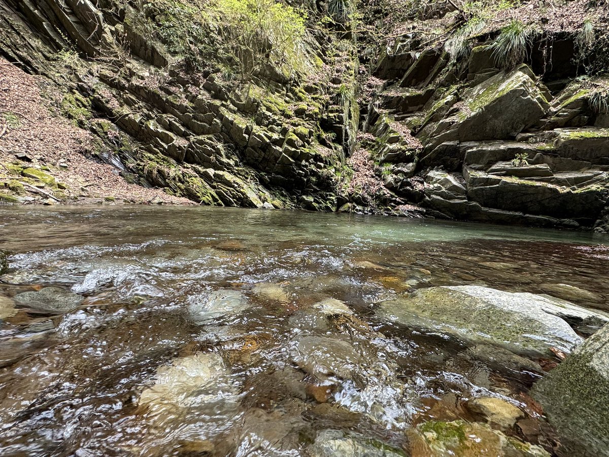 かんちゃん tweet media