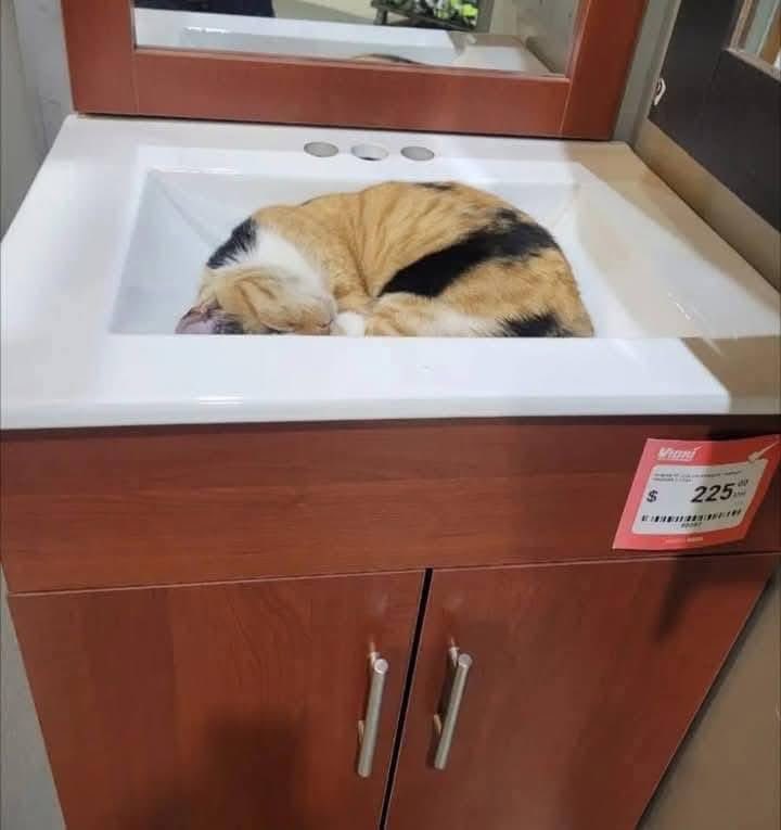 Sivar News tweet media