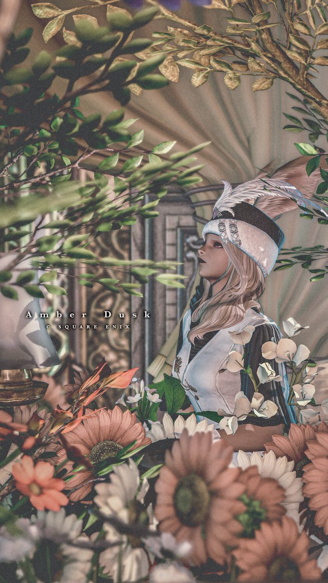 ℳℯℯ tweet media