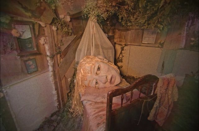 claudia ۶ৎ ‧₊˚. tweet media